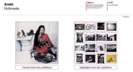 Fig 1: Nippon Multimedia: the (Web) home page of the section of the exhibition: “Araki. Love and Death”  