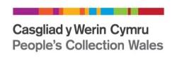 Fig 3: The branding for the People's Collection Wales represents the "DNA of Wales"  