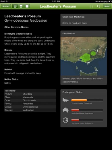 Fig 8: Details panel in full screen mode