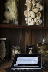 The Qrator Ipads in place