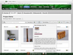 Collaborative Projects