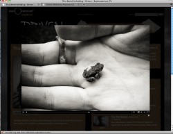 Driven: True Stories of Inspiration slideshow program This World Unfolding