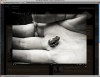 Driven: True Stories of Inspiration slideshow program This World Unfolding