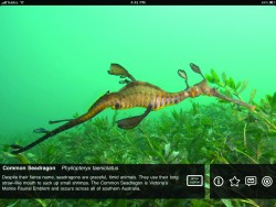 Please Touch the Exhibit iPad app Screenshot 2
