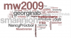 MW2009 Twitterers
