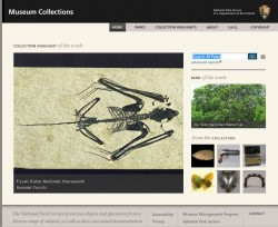 NPS Museum collections home page