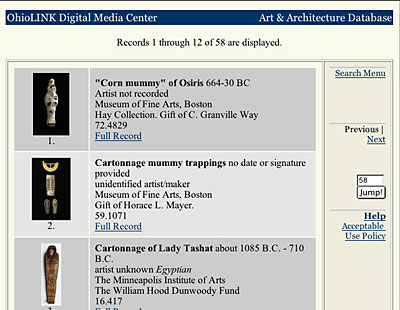 Sample OhioLINK returns page screen shot