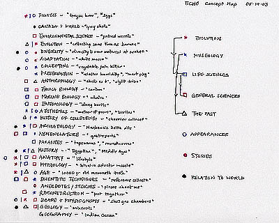 Preliminary Concept mapping