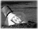 message in a bottle