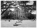 vancouver art gallery