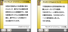 Fig 9: Work description and artist description