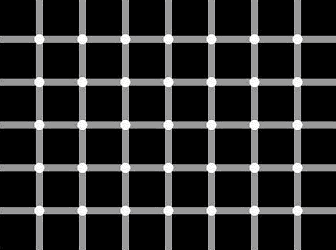 Fig 2: The scintillation grid, a classic optical illusion. Try to count the black dots&hellip;