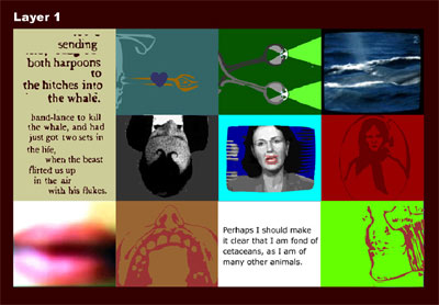 Fig 1: Whale Chong screen shot, close-up, showing the layout and structure of the interface of Whale Chong. Here each of the twelve fields is clicked once; thus the snapshot shows what we can call layer 1.